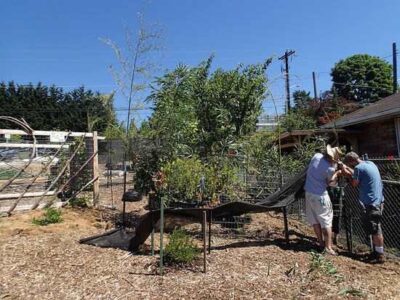 Easy DIY Food Forest Fall Planting Guide Image